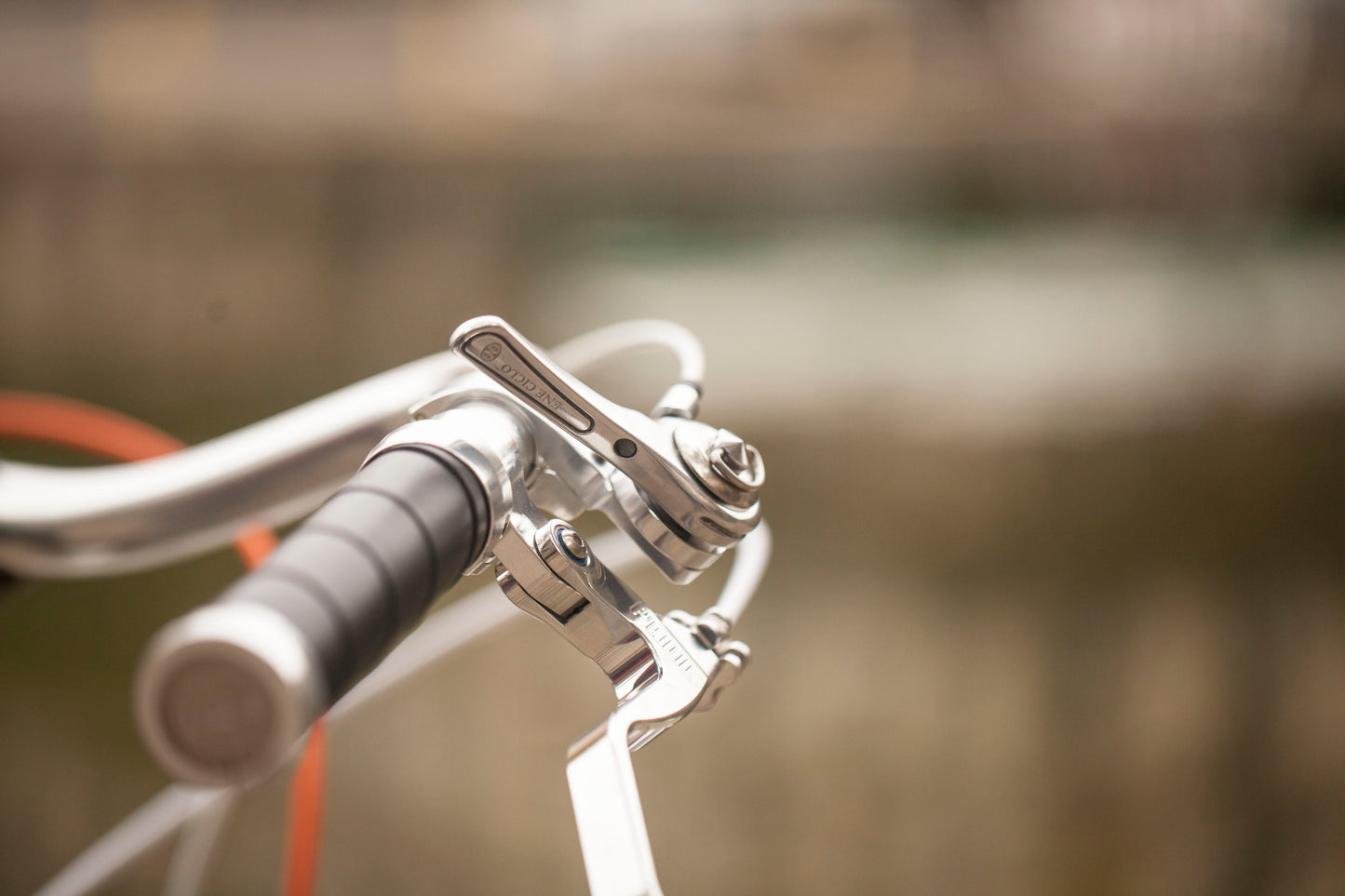 CHIHYA'S BASSI RACHEL