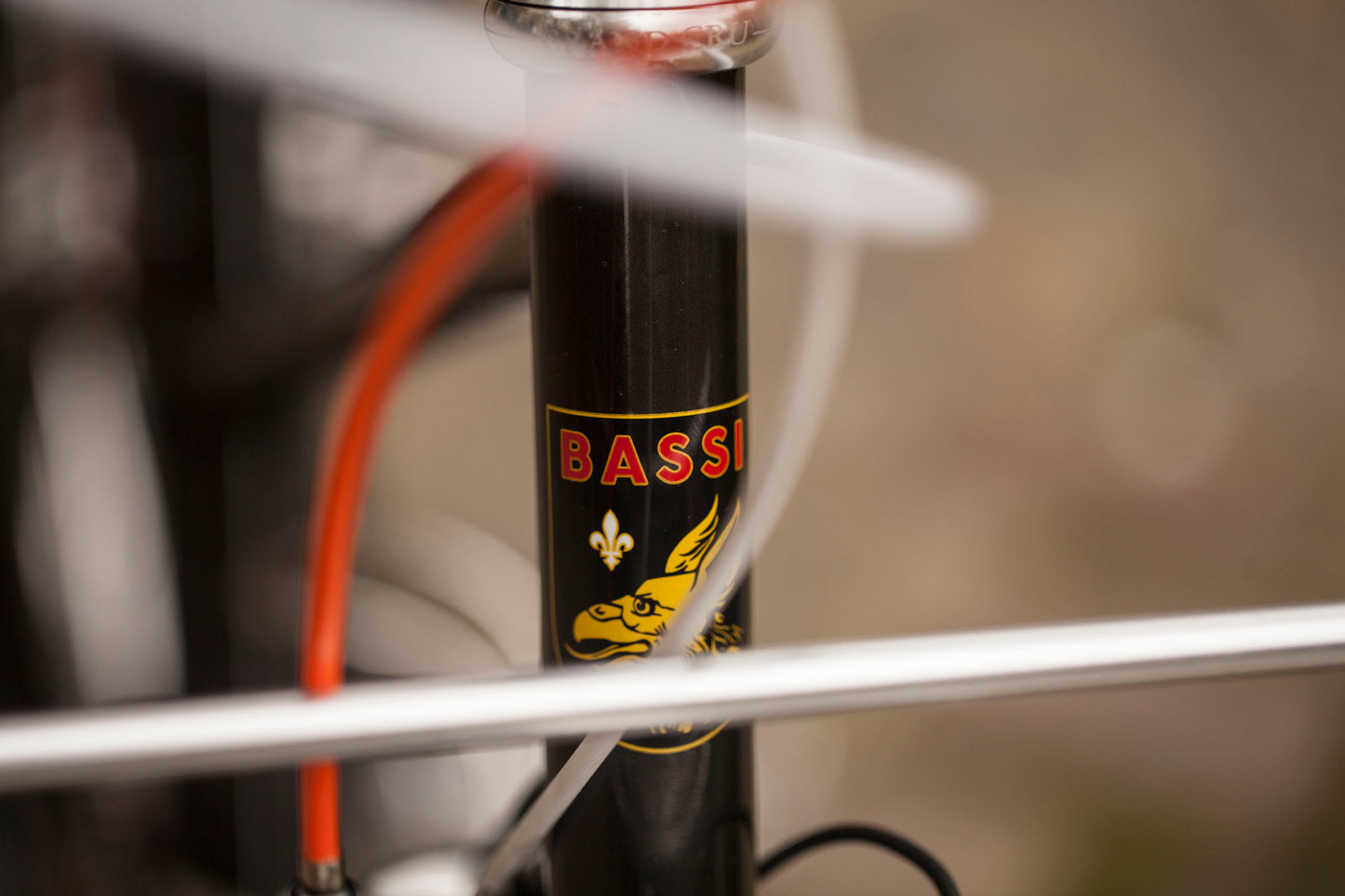 CHIHYA'S BASSI RACHEL