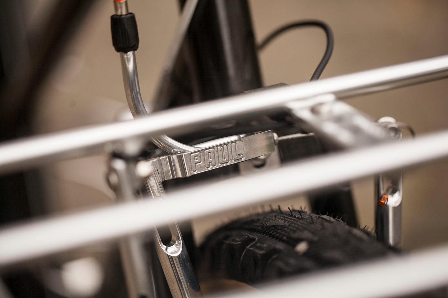 CHIHYA'S BASSI RACHEL