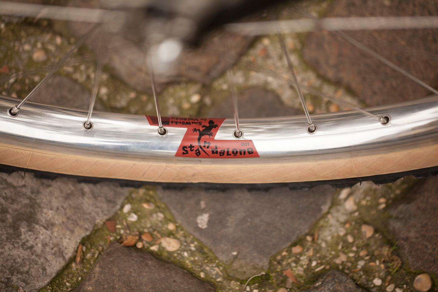 CHIHYA'S BASSI RACHEL