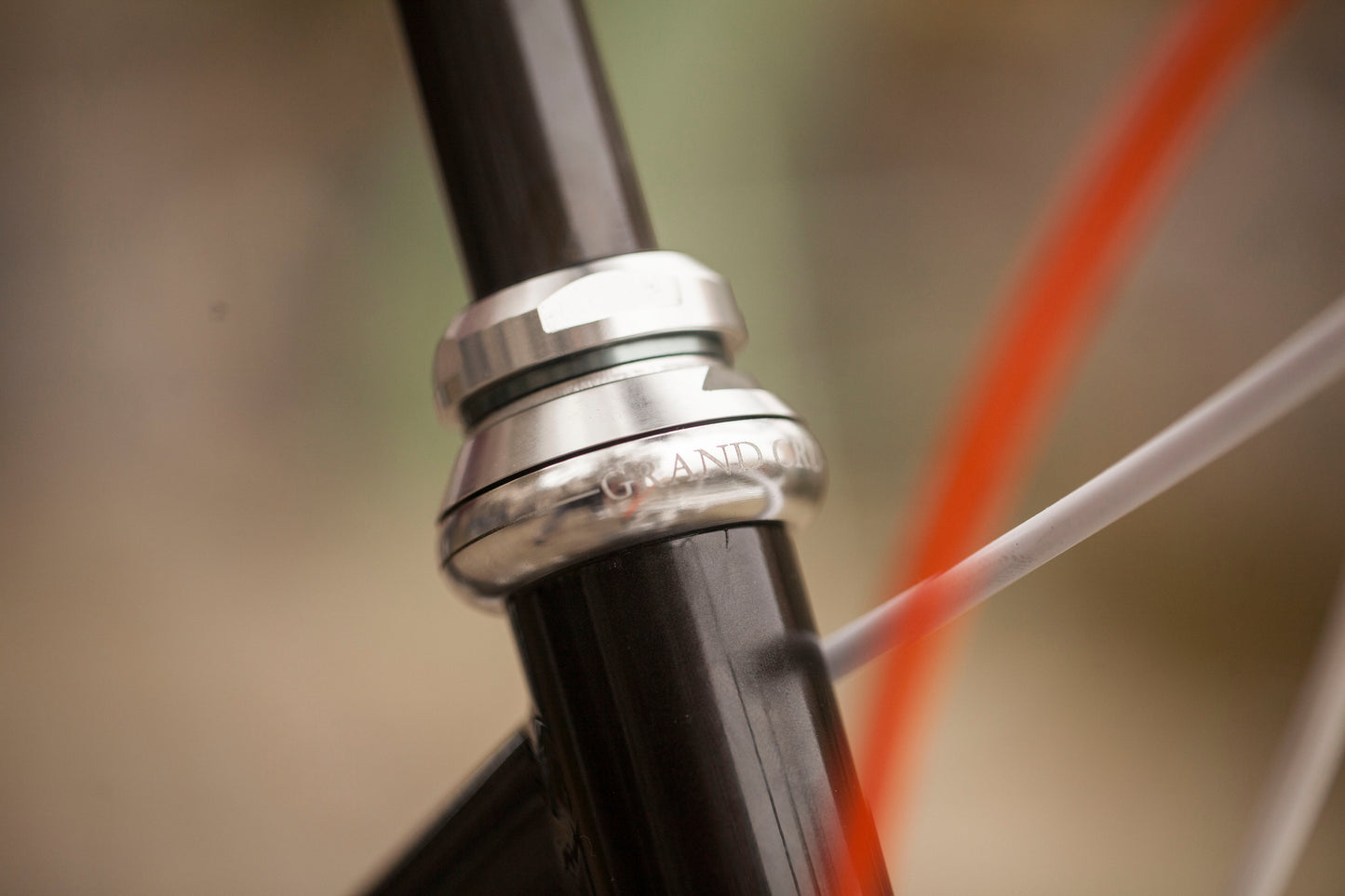 CHIHYA'S BASSI RACHEL