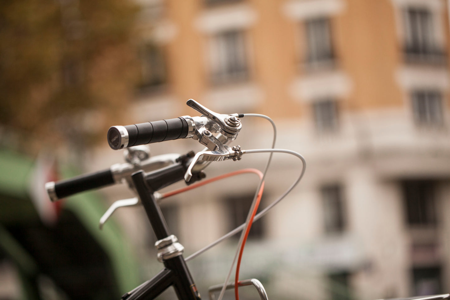 CHIHYA'S BASSI RACHEL