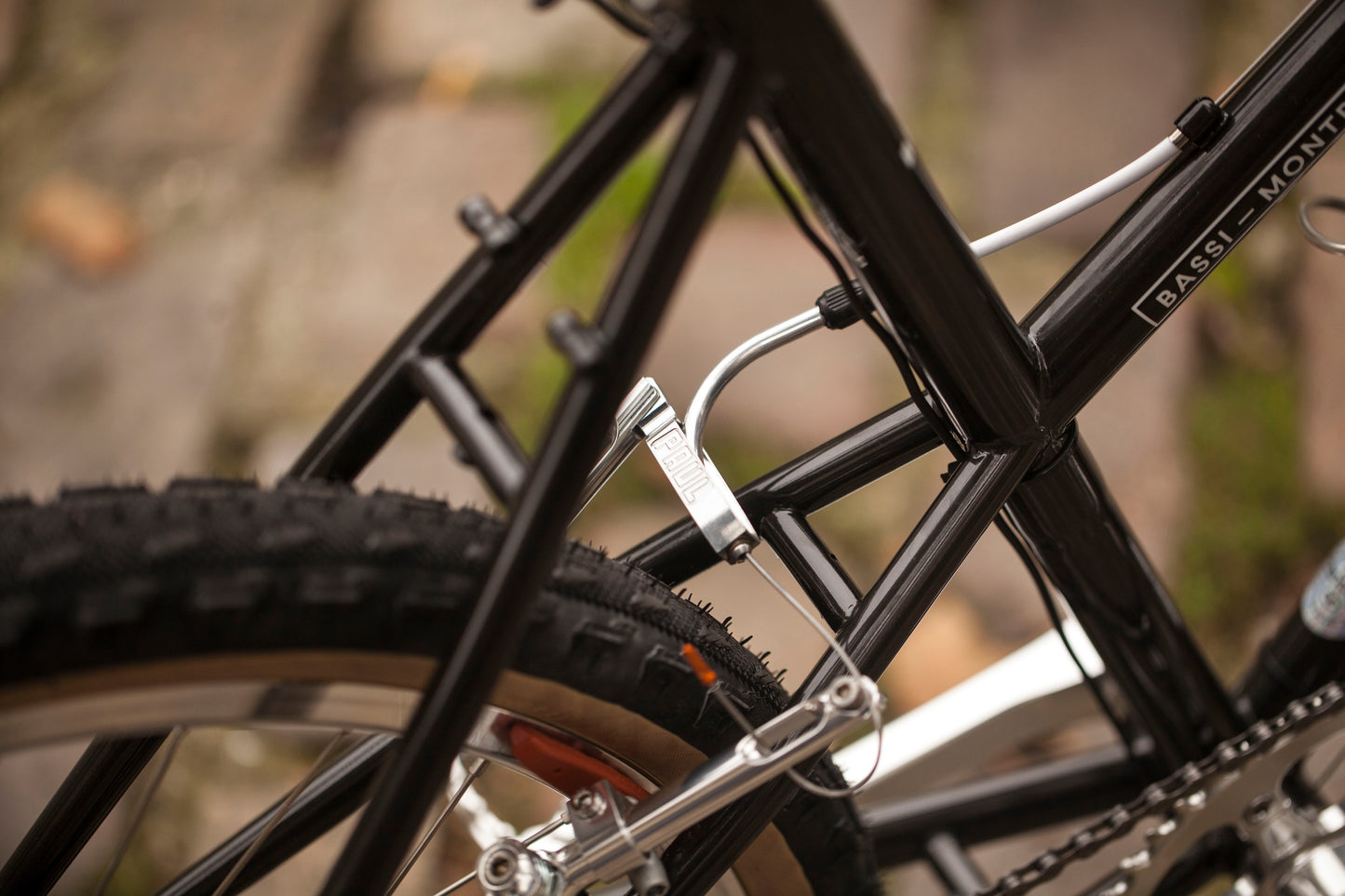 CHIHYA'S BASSI RACHEL