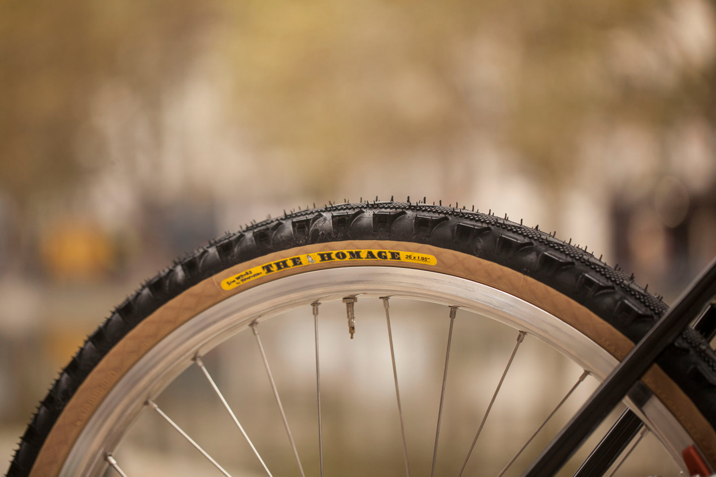 CHIHYA'S BASSI RACHEL