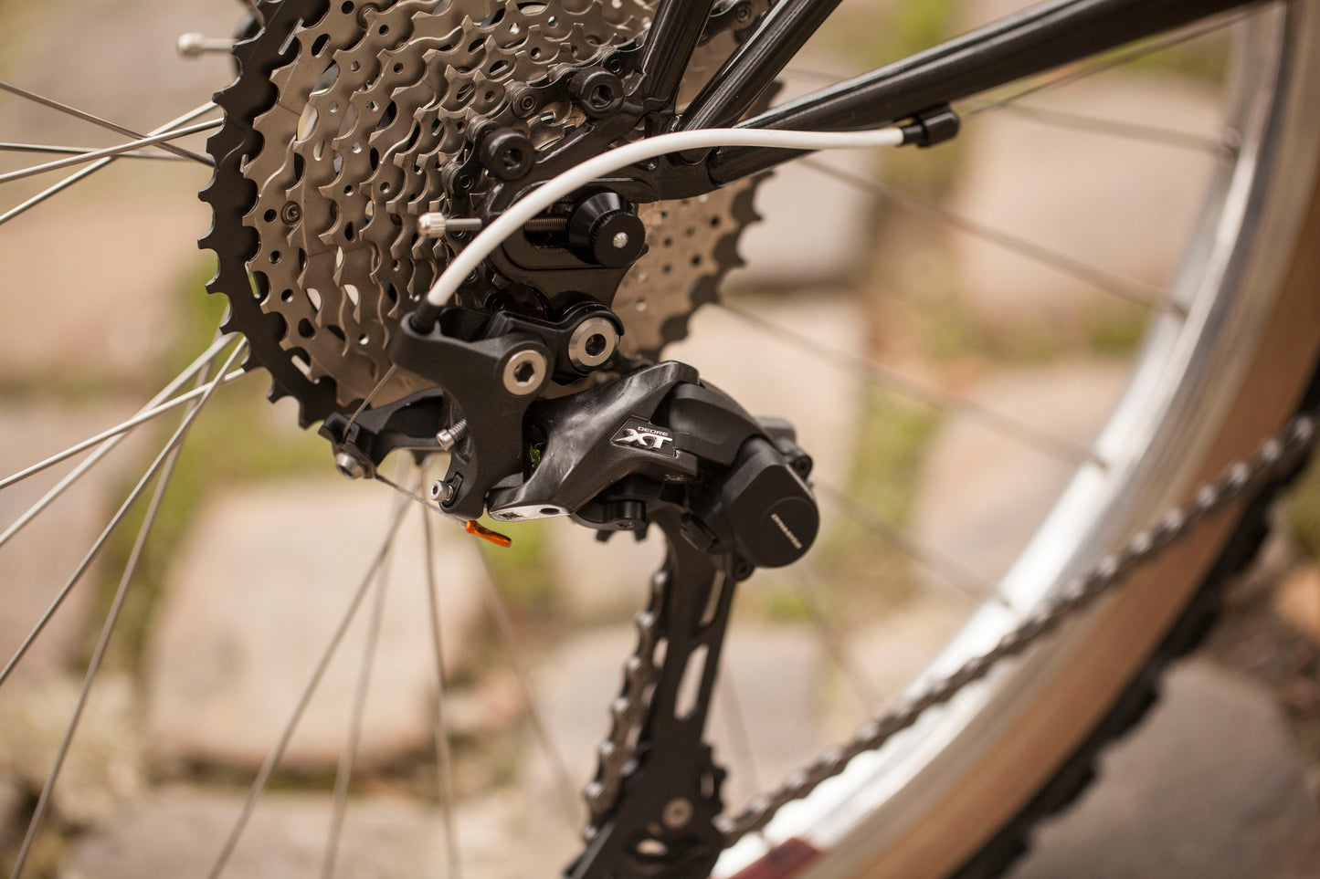 CHIHYA'S BASSI RACHEL