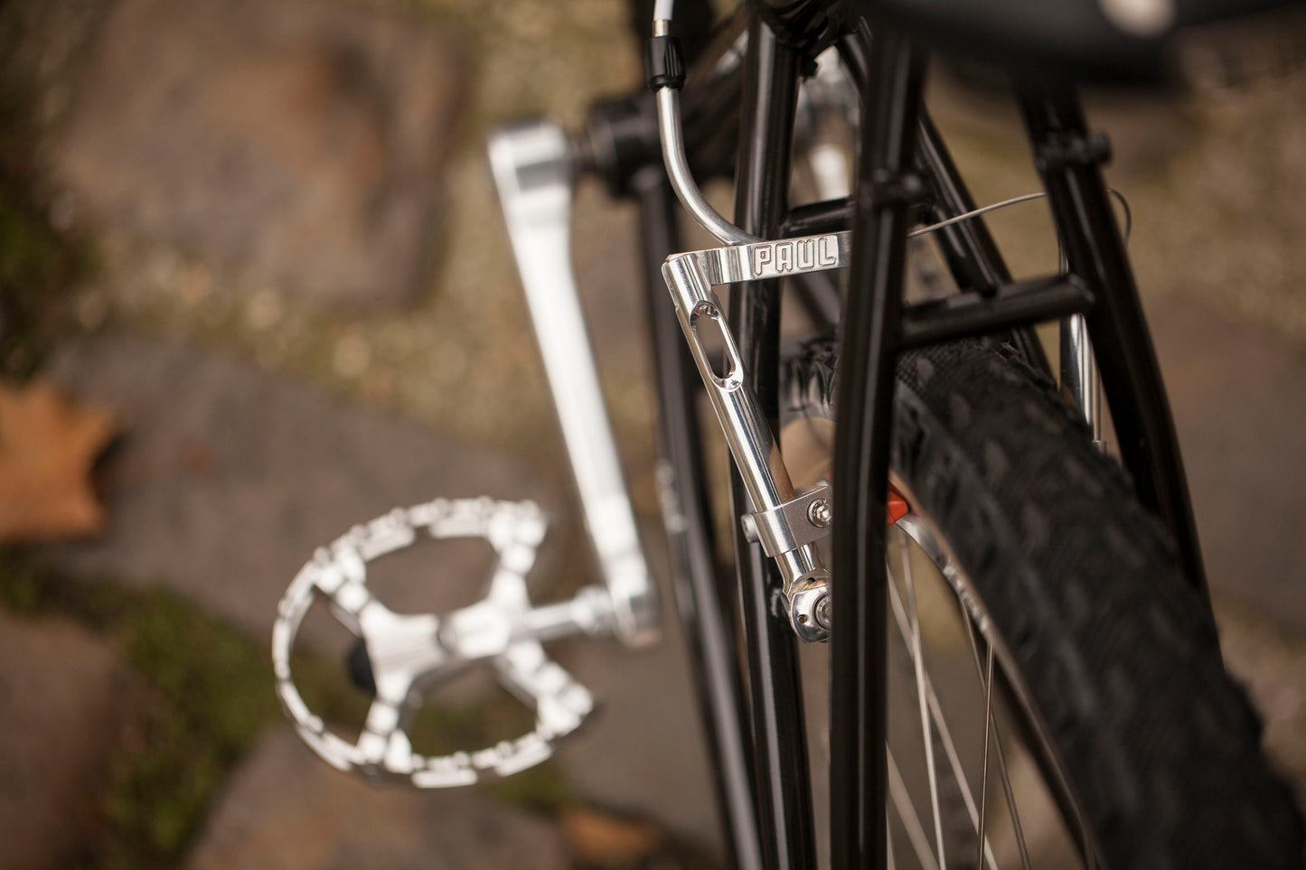 CHIHYA'S BASSI RACHEL