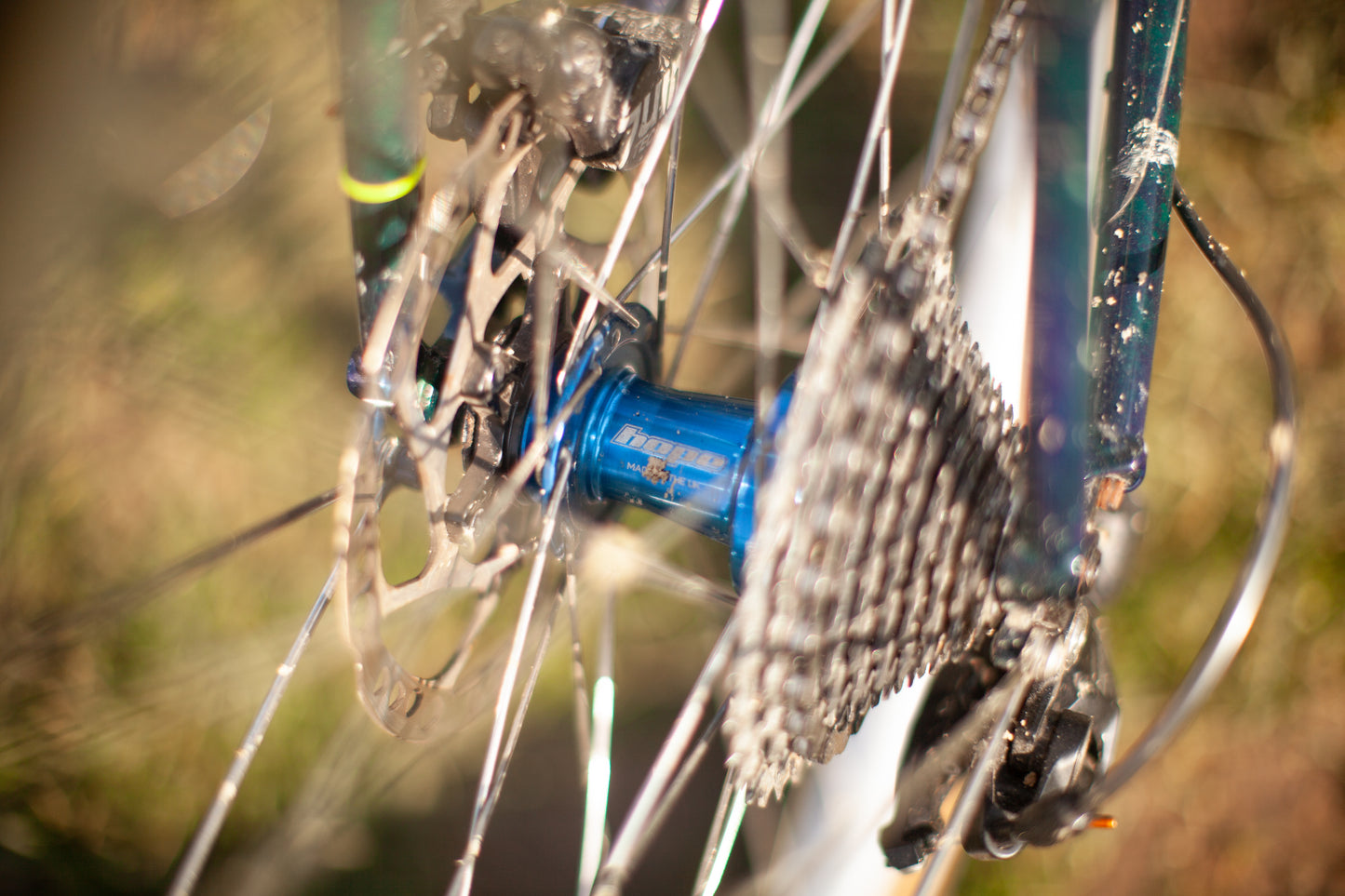 JOÃO'S CRUST BOMBORA