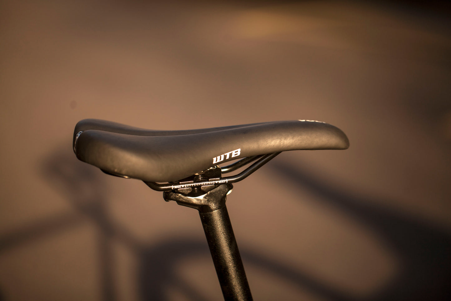 MARIE'S CRUST EVASION