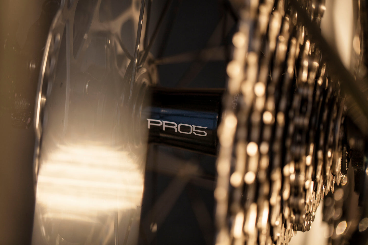 MARIE'S CRUST EVASION