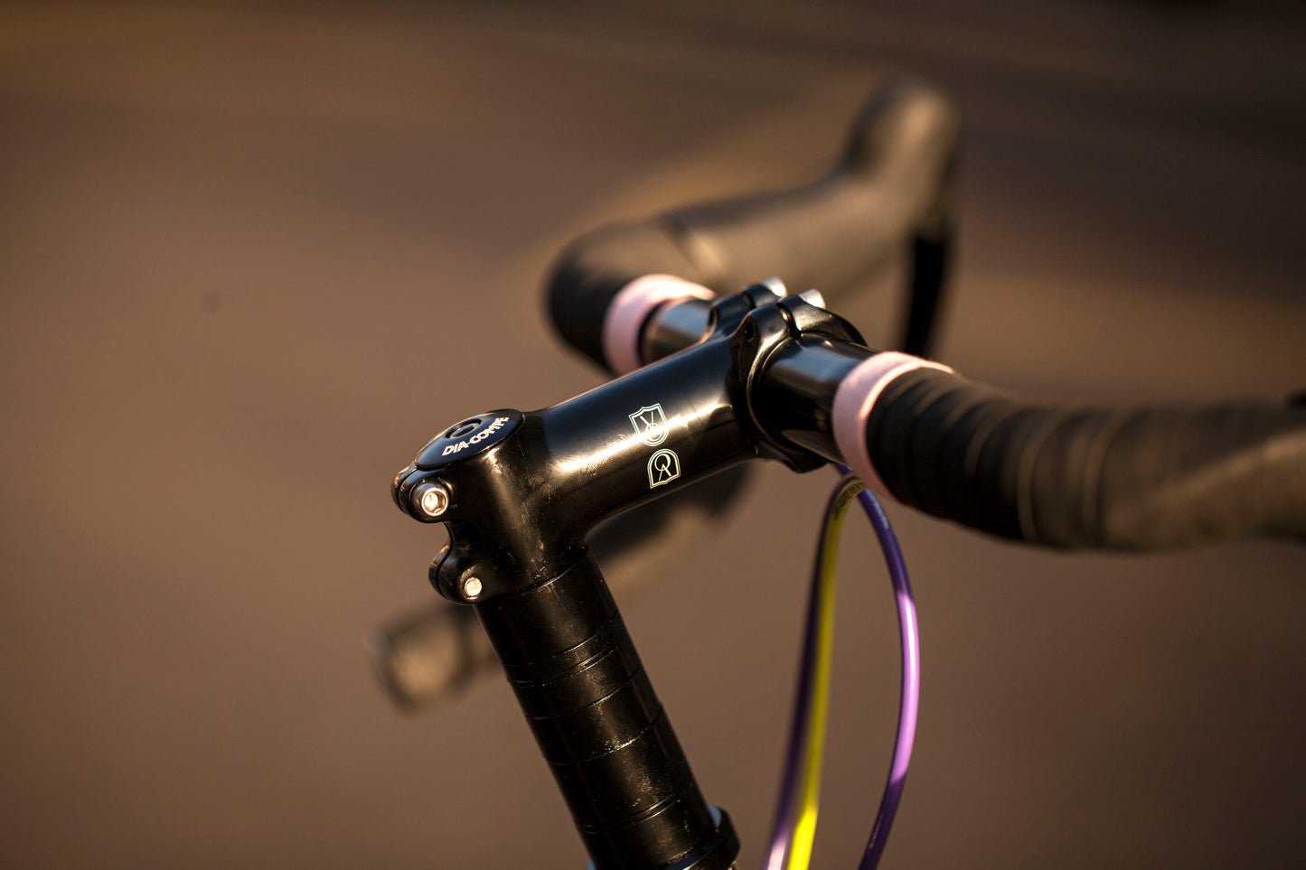 MARIE'S CRUST EVASION