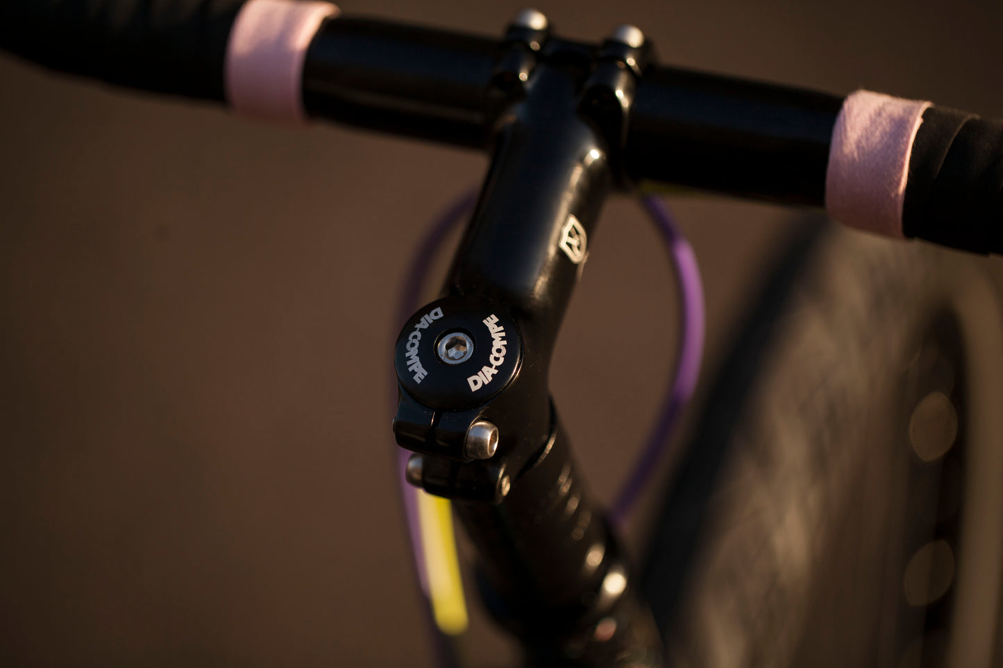 MARIE'S CRUST EVASION