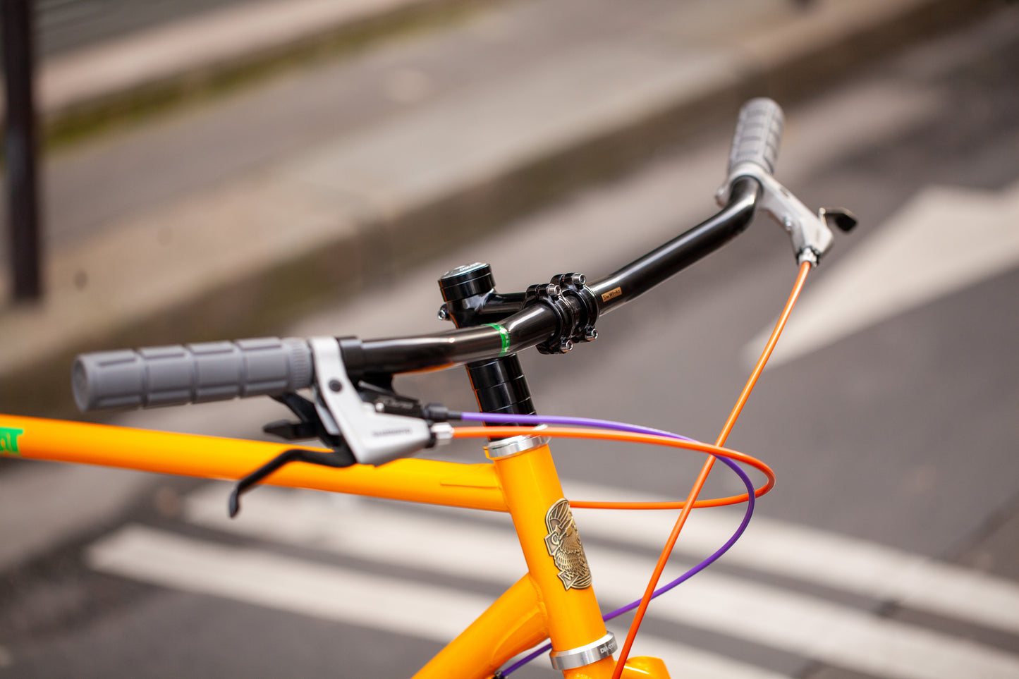 CRUST WOMBAT CUSTOM BUILD - LARGE