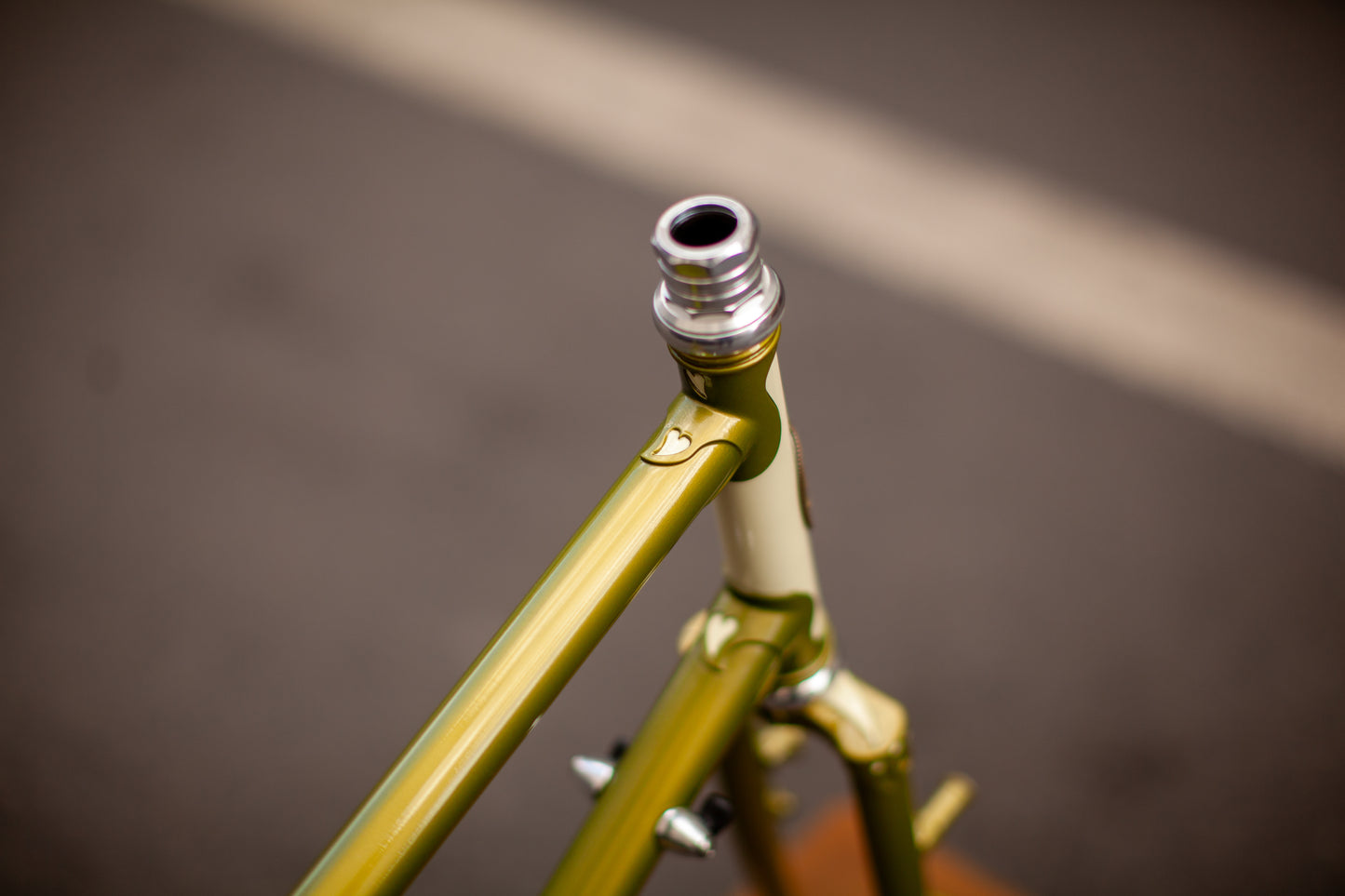 RIVENDELL PLATYPUS FRAME