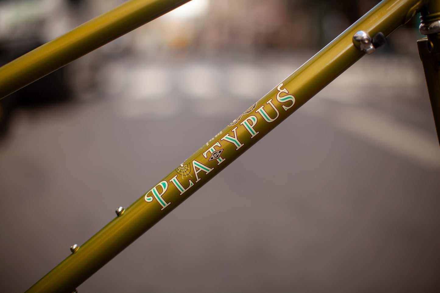 RIVENDELL PLATYPUS FRAME