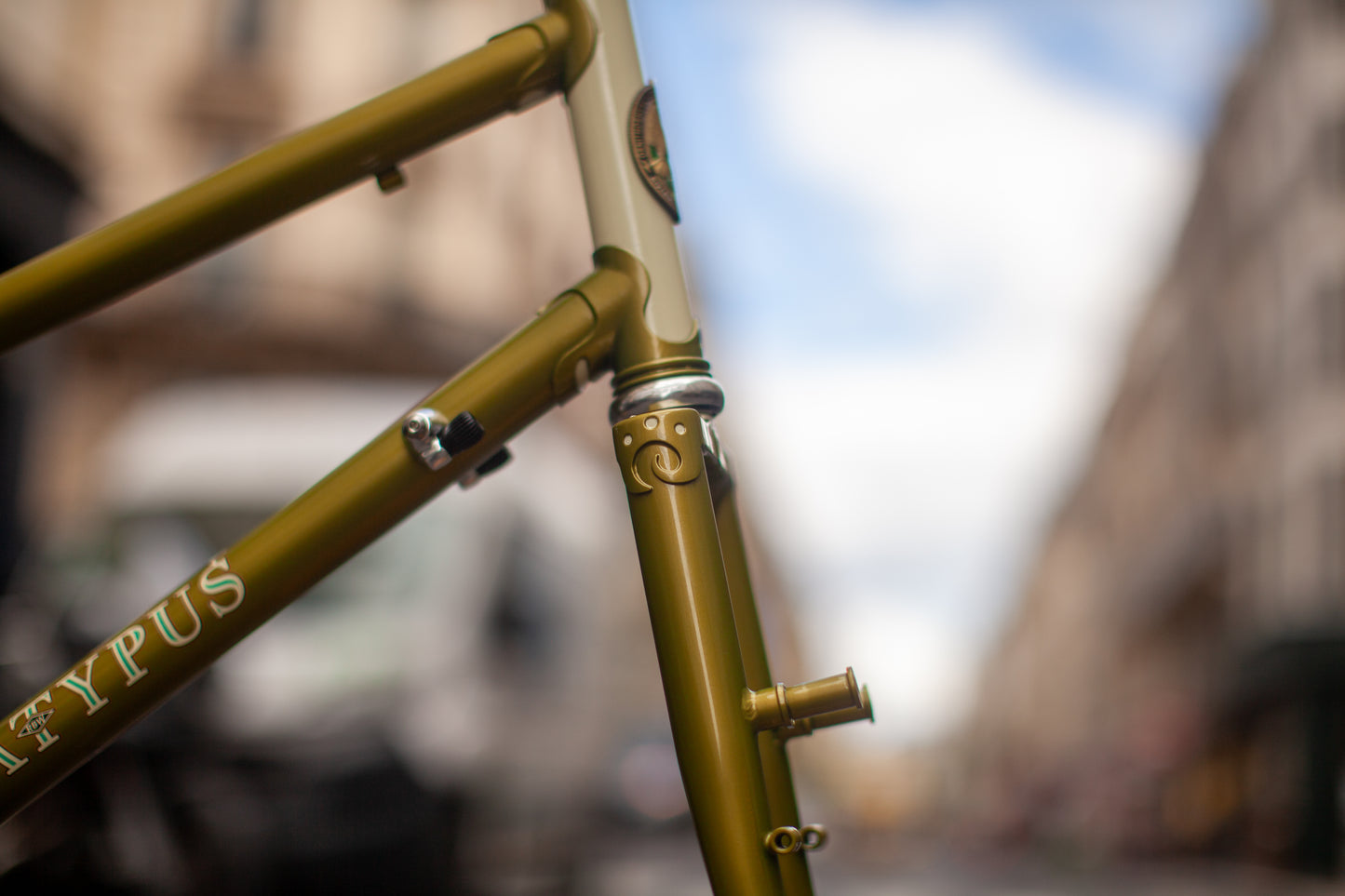 RIVENDELL PLATYPUS FRAME