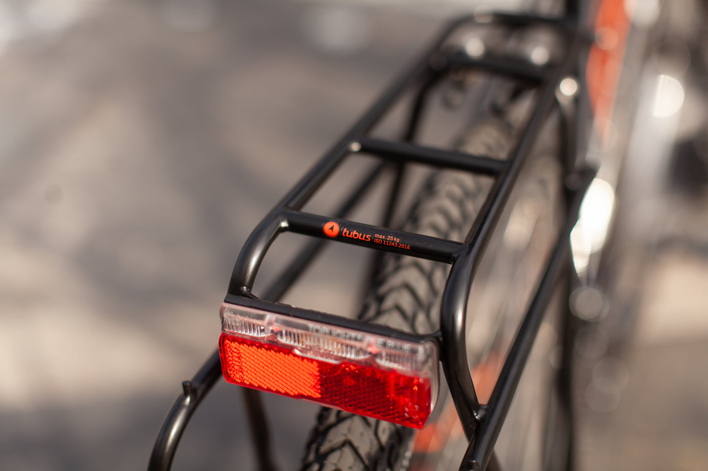 FLORIAN'S SURLY DISC TRUCKER