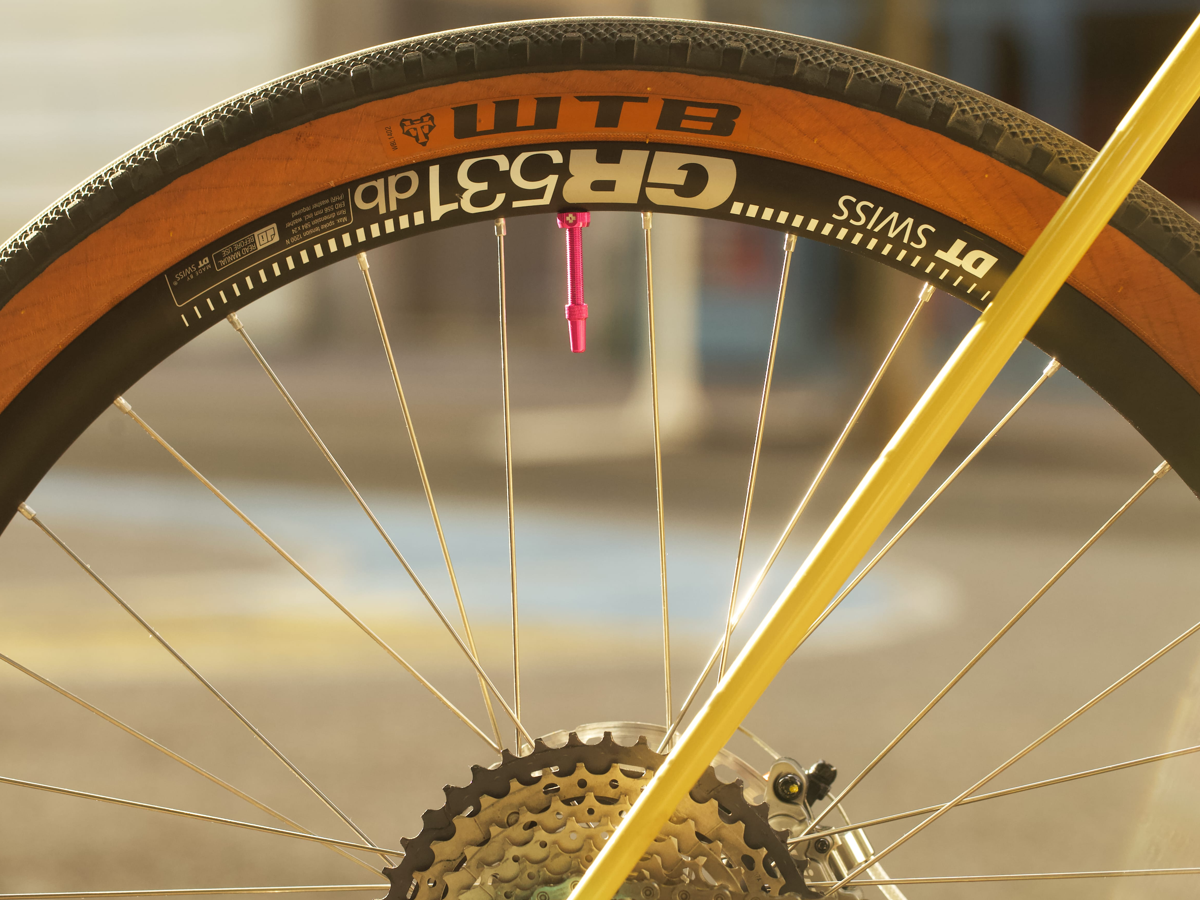 DAVID'S CRUST EVASION LITE