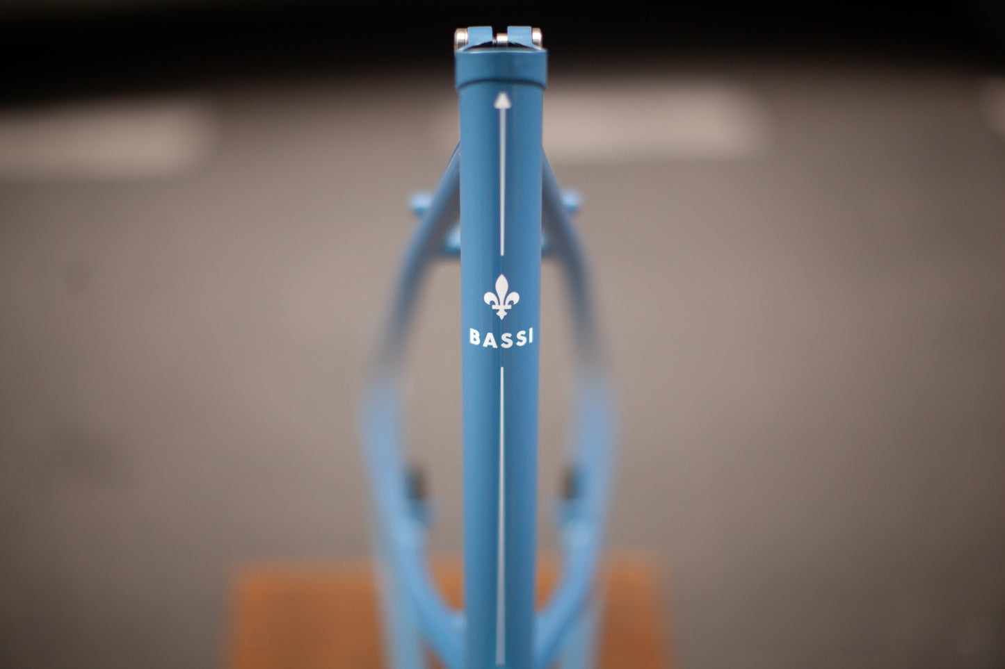 BASSI RACHEL FRAME