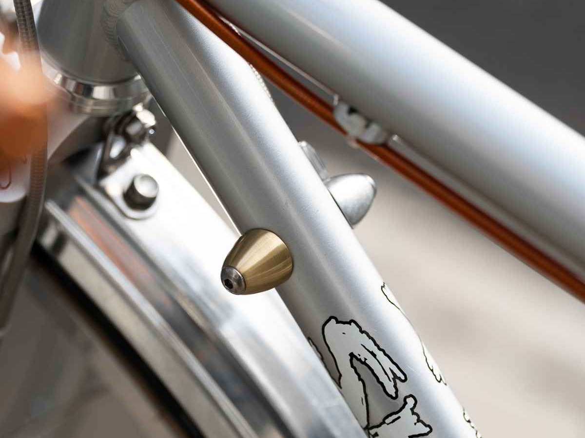 Blue Lug Downtube Shift Boss Cover