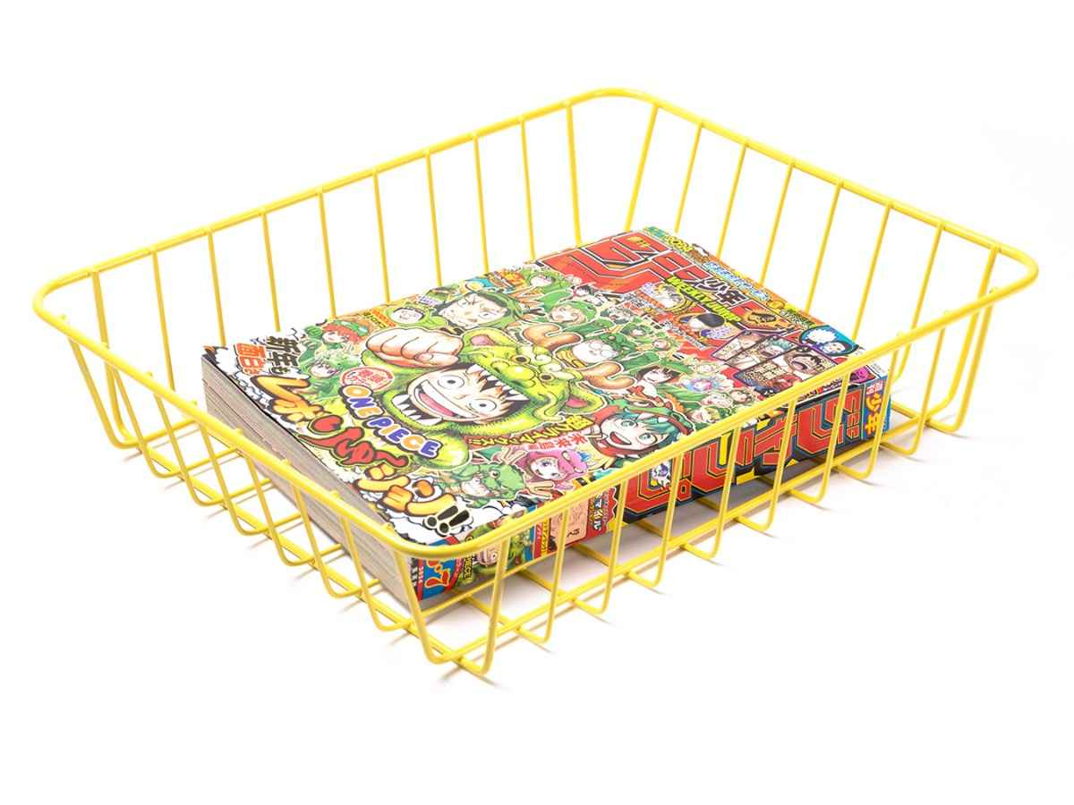 BLUE LUG SELECT EVERYDAY BASKET