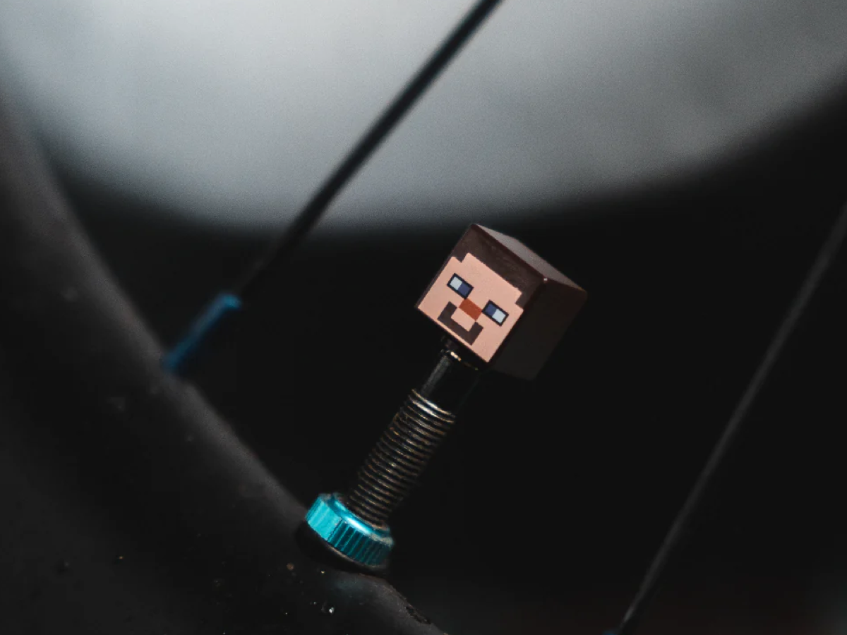 BOUCHONS DE VALVE PRESTA BRICK CAPS - MINECRAFT STEVE