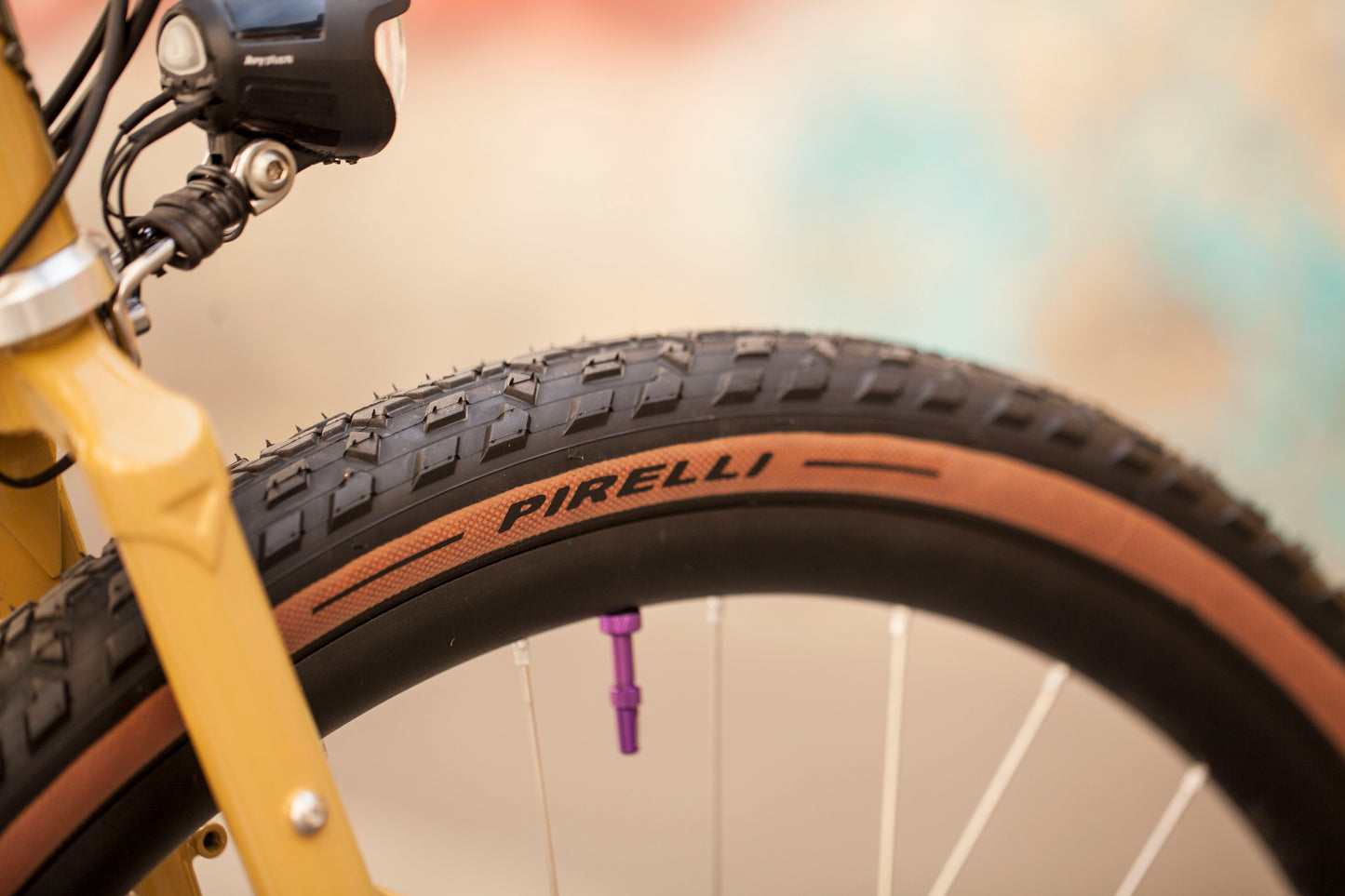 SOPHIE'S BROTHER CYCLES KEPLER