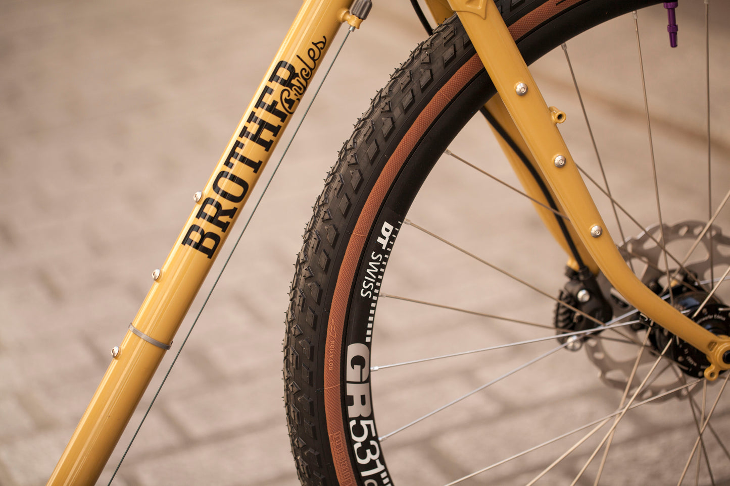 SOPHIE'S BROTHER CYCLES KEPLER