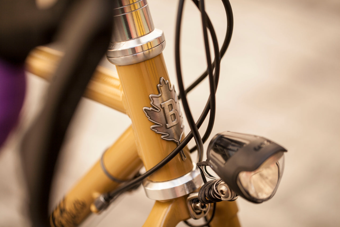 SOPHIE'S BROTHER CYCLES KEPLER