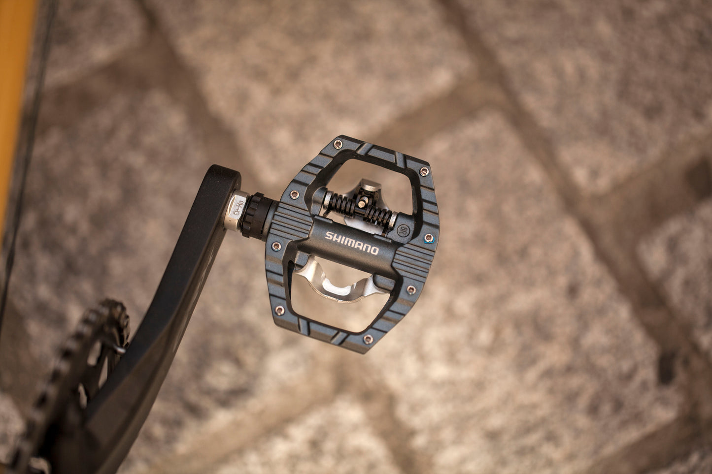 SOPHIE'S BROTHER CYCLES KEPLER
