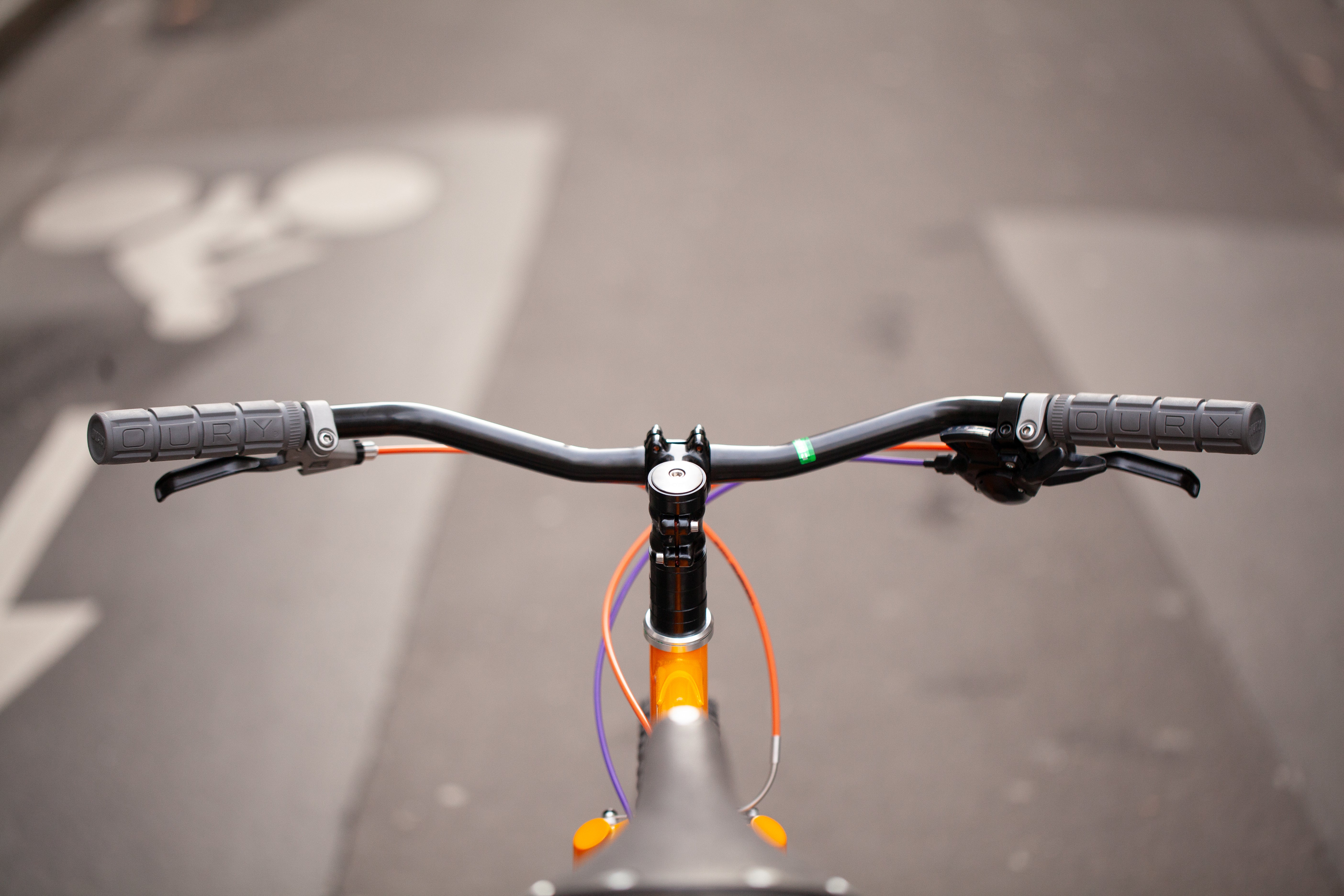 CRUST WOMBAT CUSTOM BUILD - LARGE – La Chouette Paris