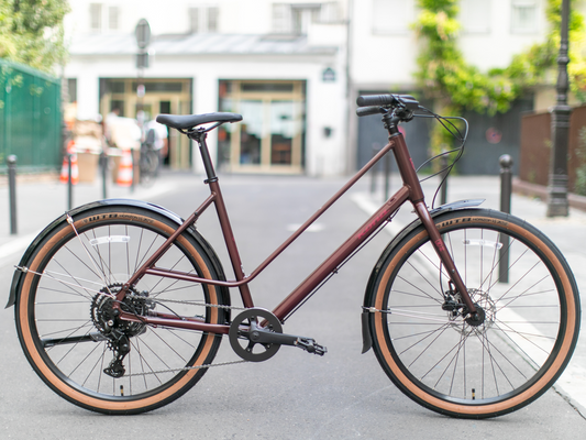 Kona Coco Brown Complete Bike