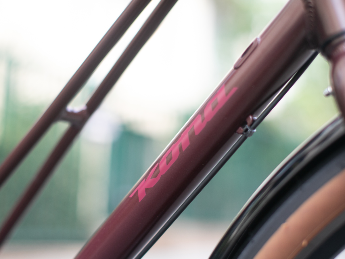 Kona Coco Brown Complete Bike