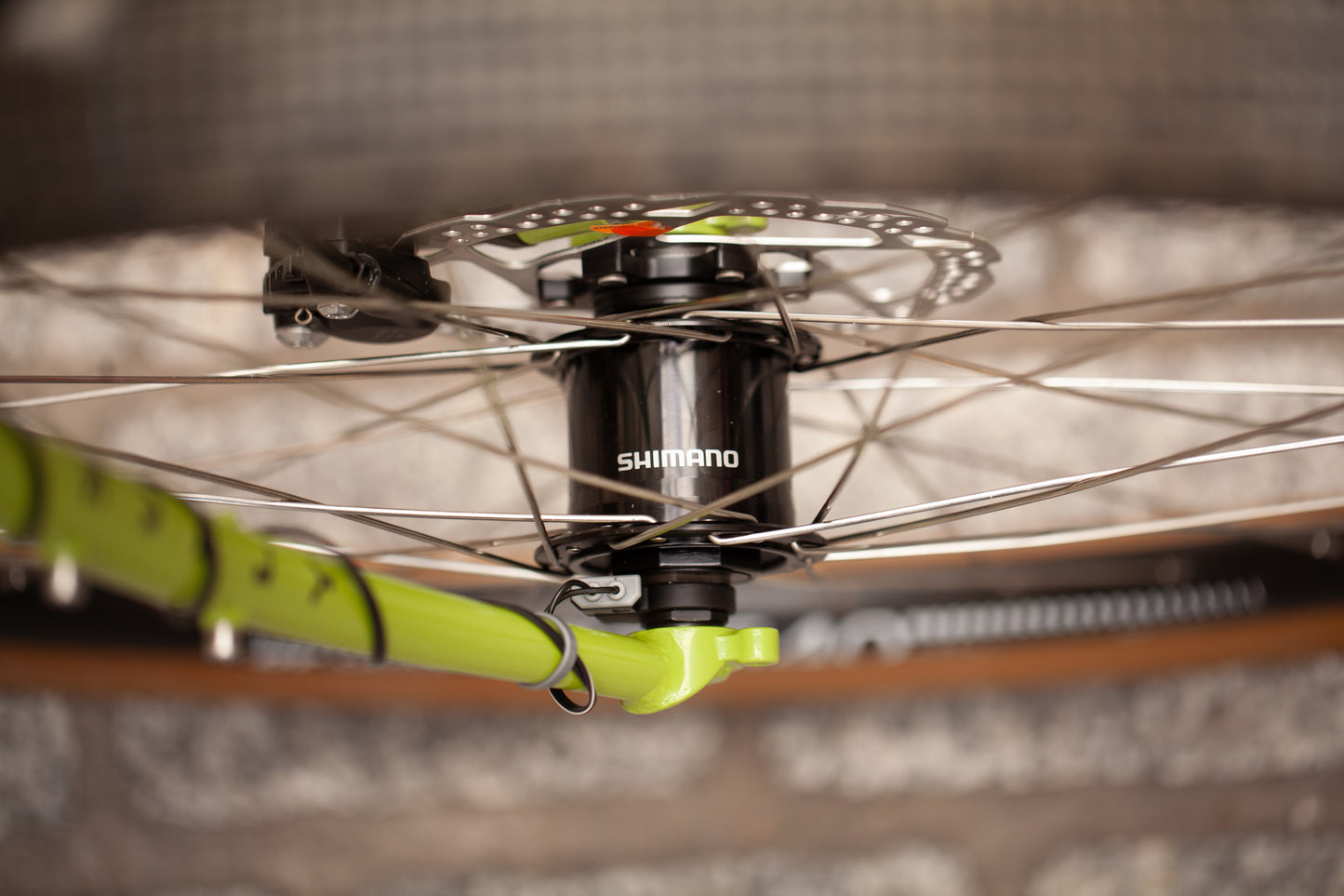 AUGUSTE'S SURLY DISC TRUCKER