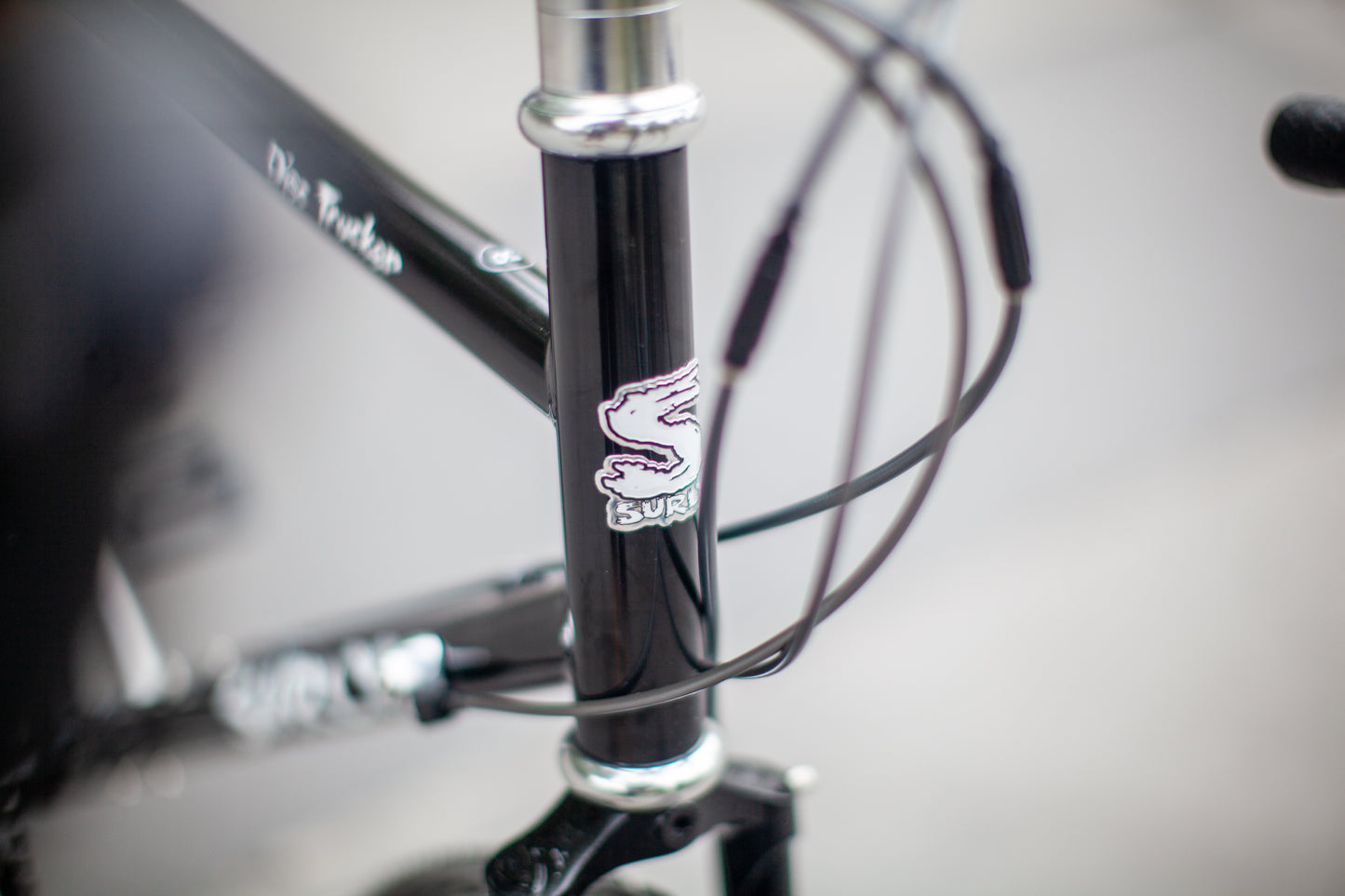 SURLY DISC TRUCKER LA CHOUETTE BUILD - 50