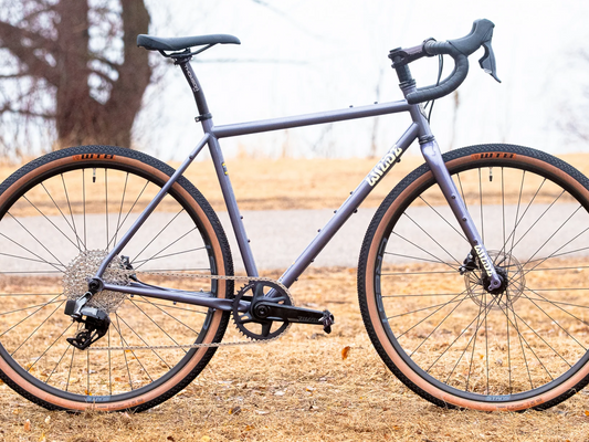 WILDE RAMBLER SL FRAME - DISCO MOONDUST