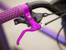 Charger l&#39;image dans la galerie, NICOLAS&#39;S OMNIUM BLURPLE MINI V3
