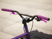 Charger l&#39;image dans la galerie, NICOLAS&#39;S OMNIUM BLURPLE MINI V3
