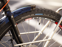 Load image into Gallery viewer, JORDAN&#39;S SURLY DISC TRUCKER
