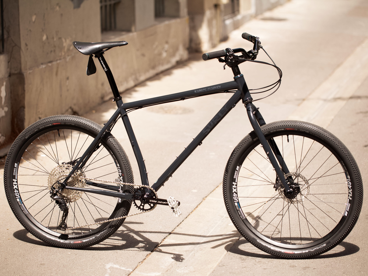 PATRICK'S SURLY KARATE MONKEY