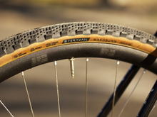 Load image into Gallery viewer, GIULIO&#39;S SURLY MIDNIGHT SPECIAL
